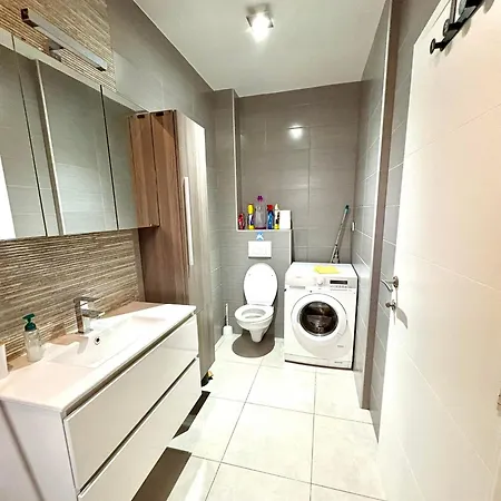House To Rent In Boom, Belgium Tomorrowland בום